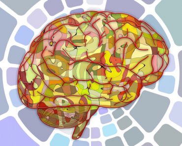 Colorful Brain Diagram